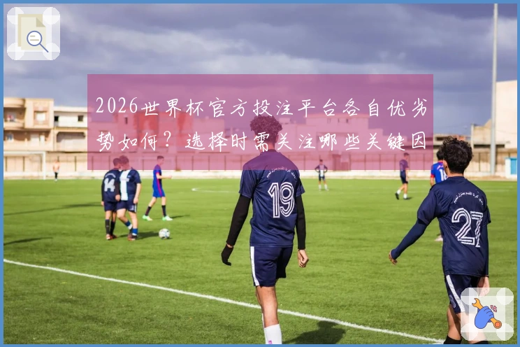 2026世界杯官方投注平台各自优劣势如何？选择时需关注哪些关键因素？