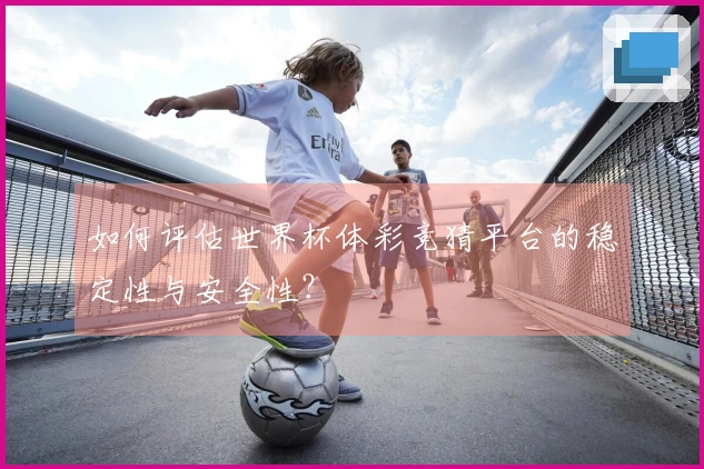 如何评估世界杯体彩竞猜平台的稳定性与安全性？