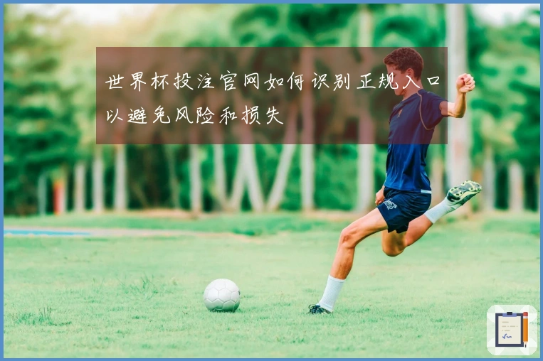 世界杯投注官网如何识别正规入口以避免风险和损失