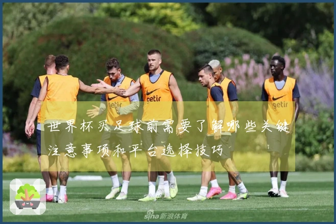 世界杯买足球前需要了解哪些关键注意事项和平台选择技巧