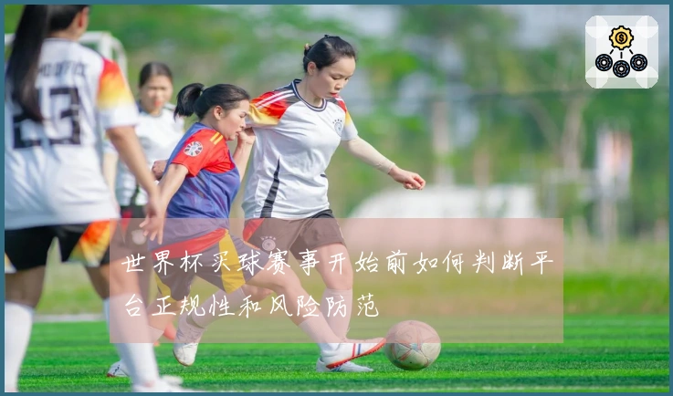 世界杯买球赛事开始前如何判断平台正规性和风险防范