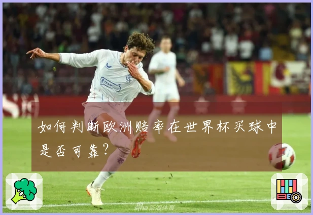 如何判断欧洲赔率在世界杯买球中是否可靠？