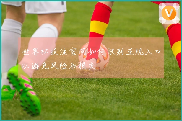 世界杯投注官网如何识别正规入口以避免风险和损失