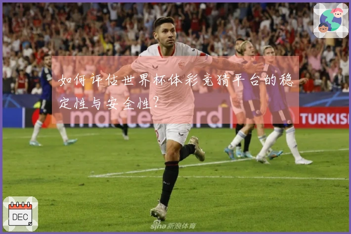 如何评估世界杯体彩竞猜平台的稳定性与安全性？